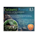 SALTY SHRIMP Sulawesi Mineral 8.5